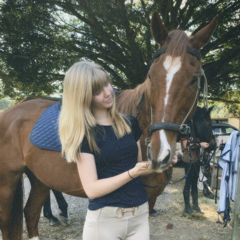 Equestrian P4r4dice