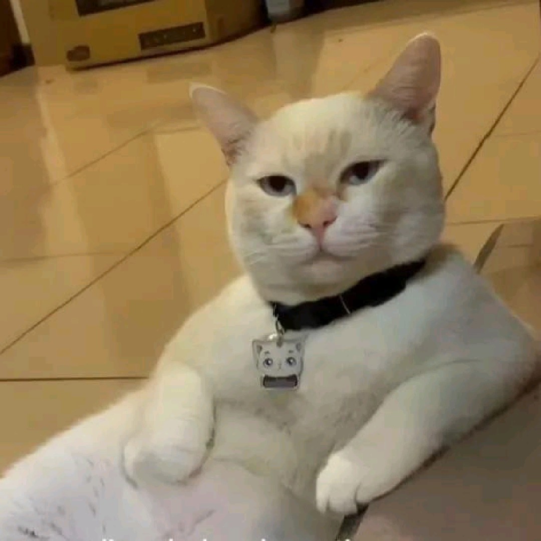 bbeeimin [LDR]