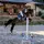 FLOJUMP_CAPCUT