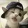 MLBB