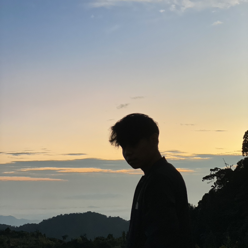 Tik tok Sek Penyu