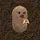 hallowayu__