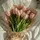 my_nura