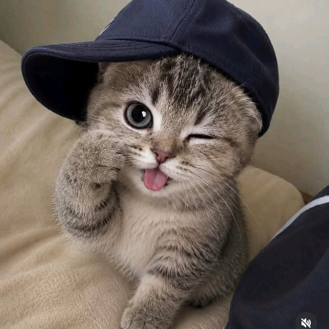 ♡ LAY 🥷
