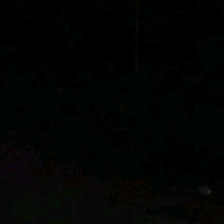 fen