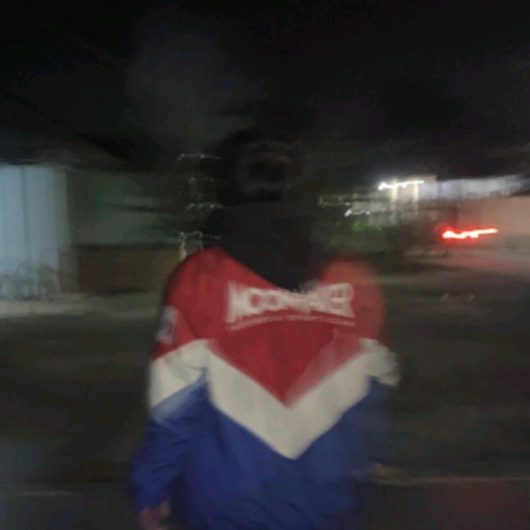 YANZZZ 