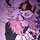  R4F@