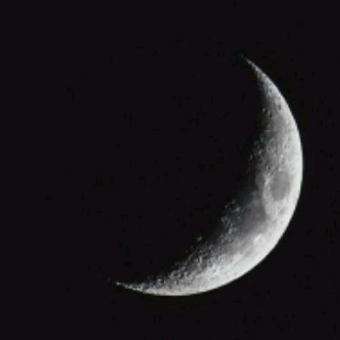 moonlett [BCR]
