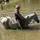that_horseperson