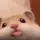 ₘₒₜᵢₒₙ