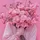 Camelia T.