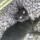 Muichiro