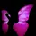 purplemoon [VPN]