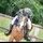 Chloé_Horses🐴🇫🇷