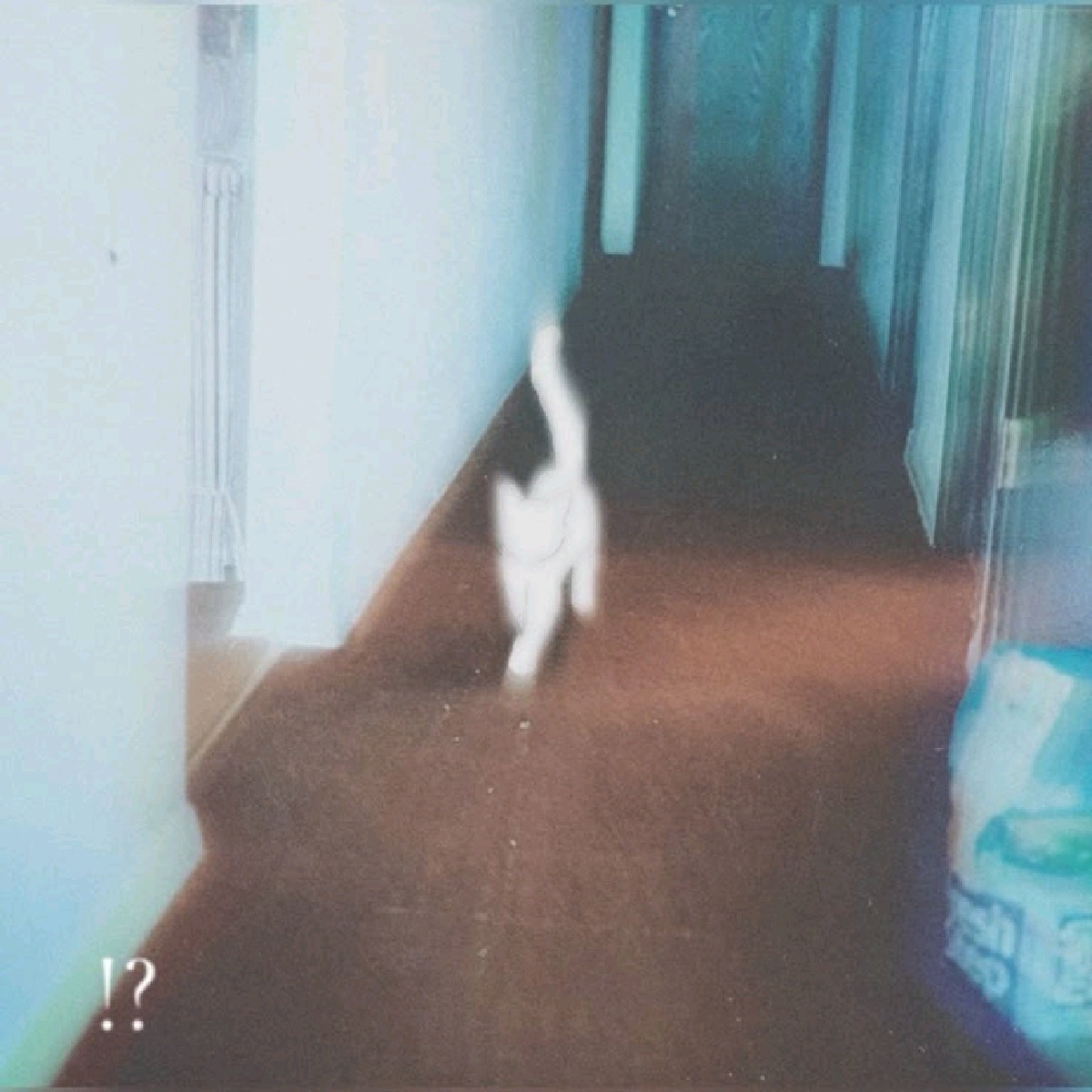 𝒢ʀᴢʏʙ // 𝟐,𝟐k☆
