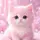PinKitty