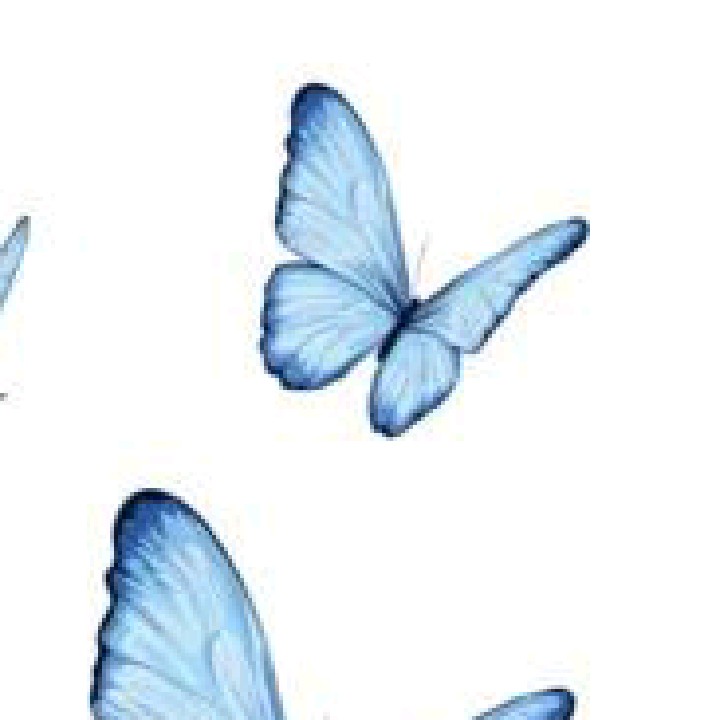 ρitt･ﾟldr⋆୨୧