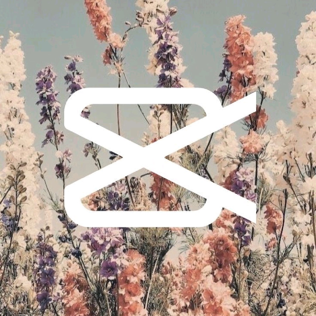 wander.cut [RFS]