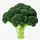 BROCOLI