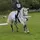 Chloe eq