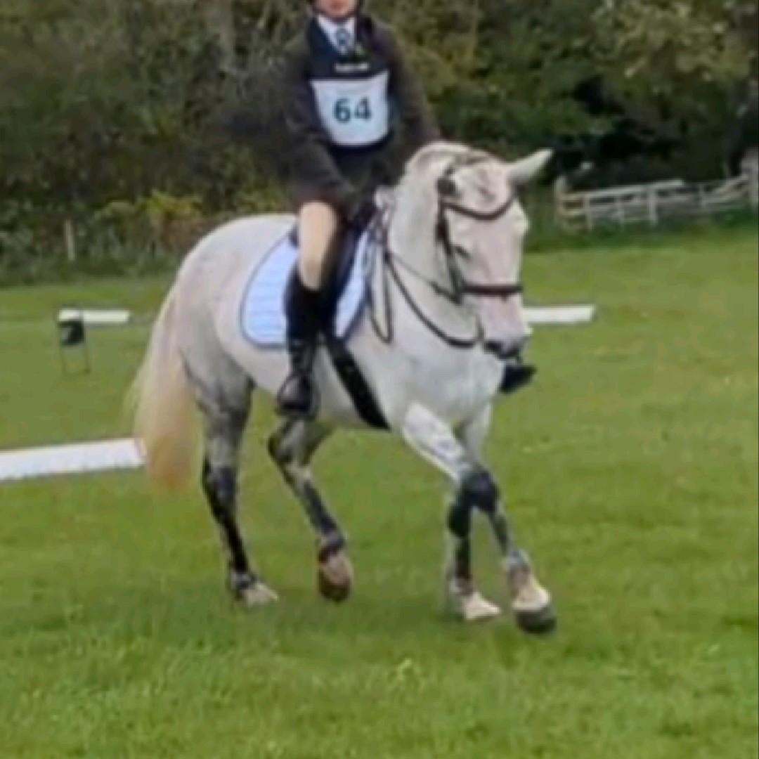 Chloe eq