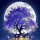 ijazmalik12 