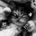 editor35596154