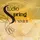 Studio Spring Summer