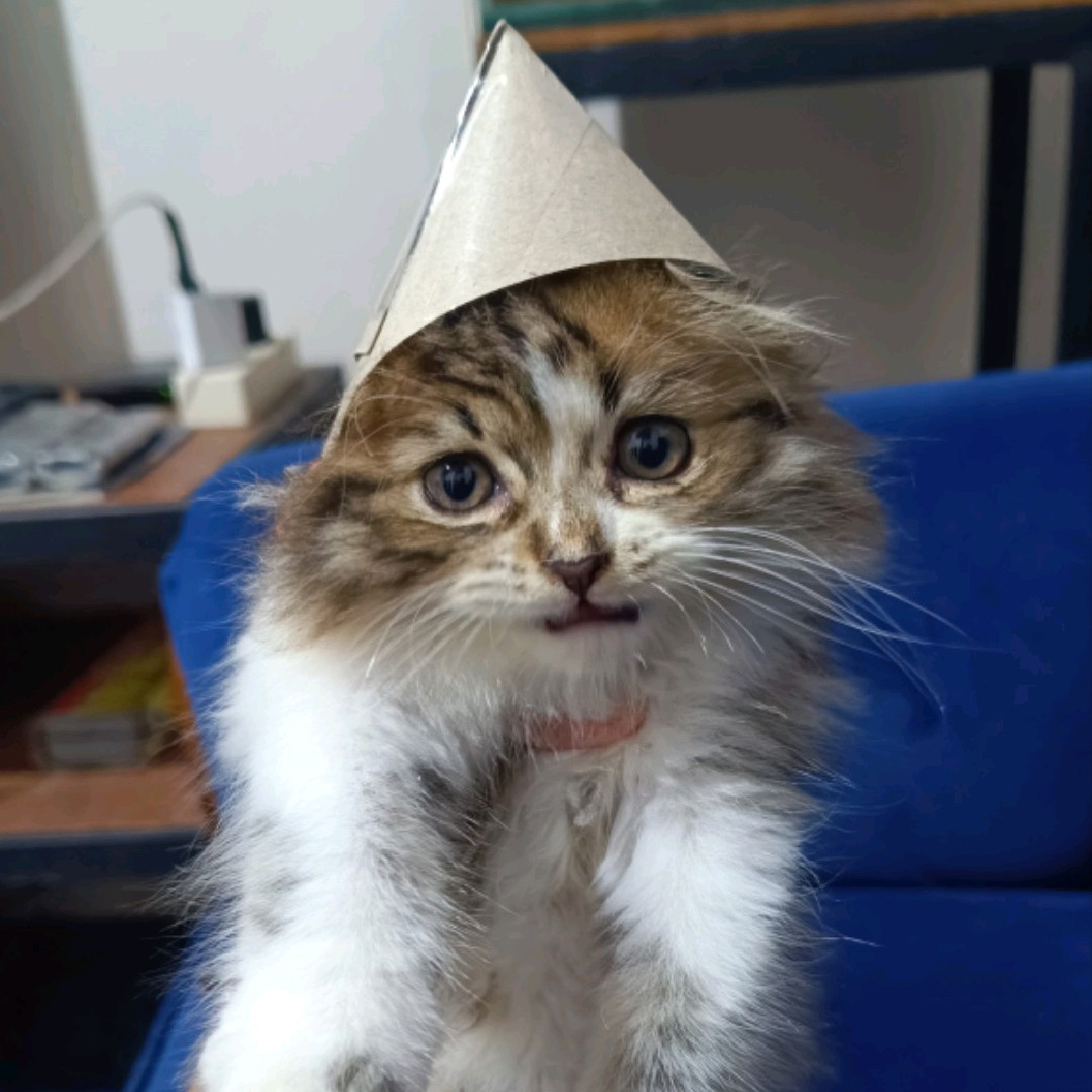 yuhuuuu 