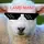 Lamb Man