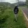 ndiii_mlbb