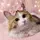 ココにゃん
