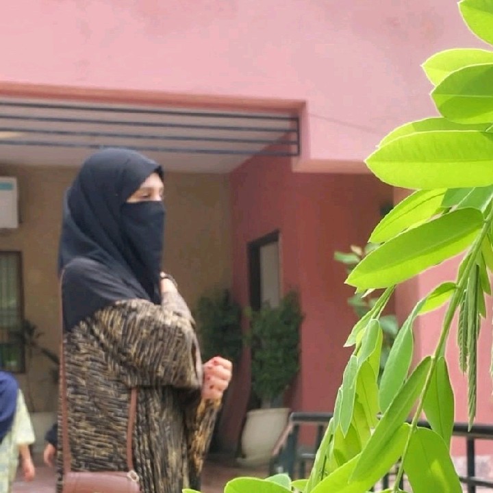 Maarij Fatima 
