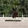 ✨CG_Equestrian✨