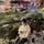 Parkdawb@