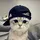 satria