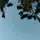 Des_des29