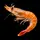 🦐2Mshrimp🦐
