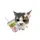 Miawwww[TOP]