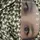 Andreea52953