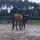 Charline_jumping 