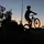 BraxMTB_Adelaide🇦🇺