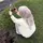 serah_guadong