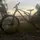 Mtbingbyaduck 🇦🇺🦘🐨