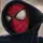 Spiderman [RFS]