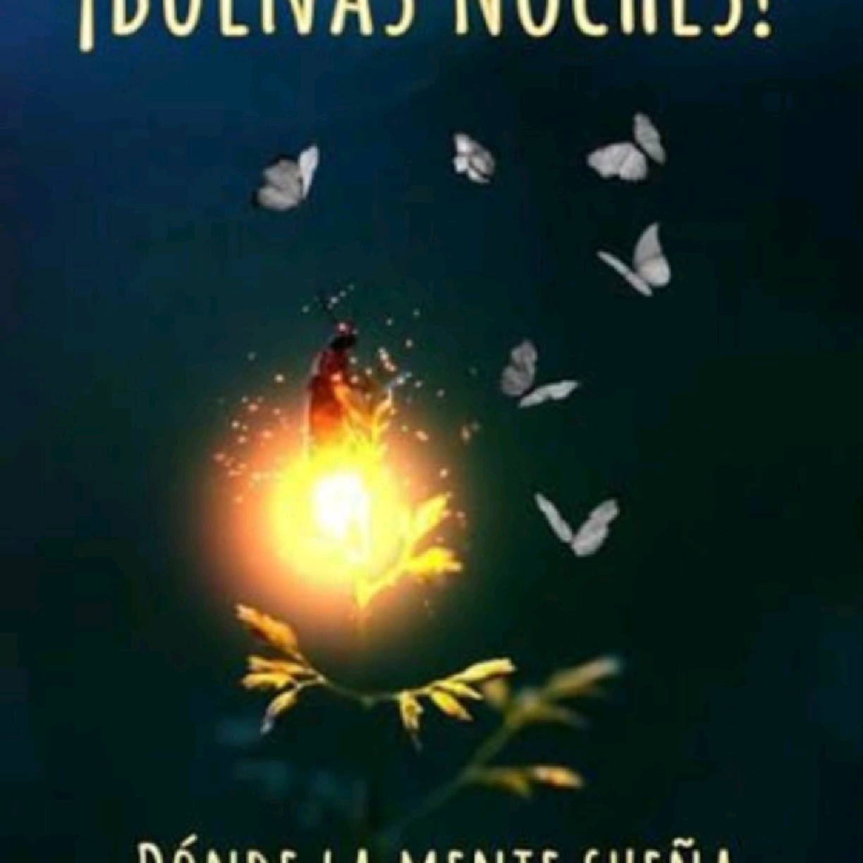fotoshop