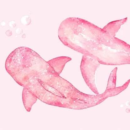 𝐋𝐢𝐥𝐲𝐲💕