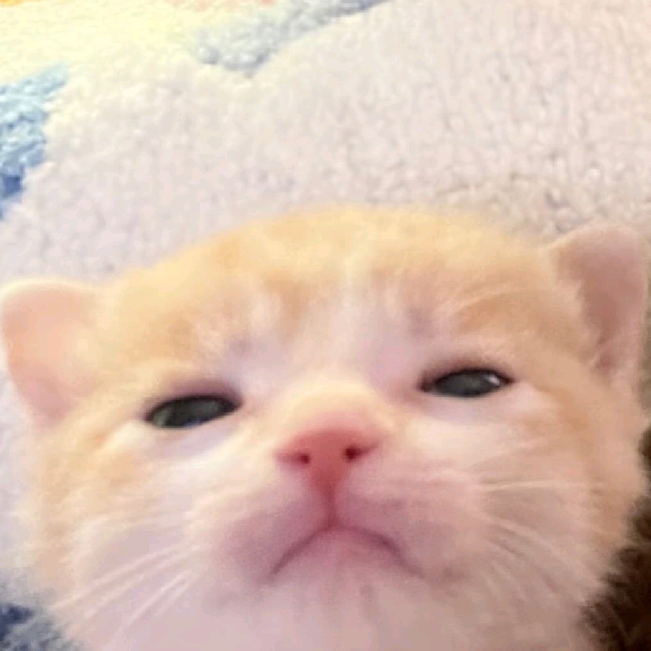 kkaioy
