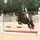 𝐂𝐇𝐋𝐎𝐄 ’🐴