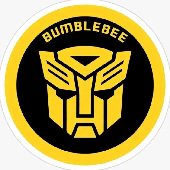 Bumblebee 🪙